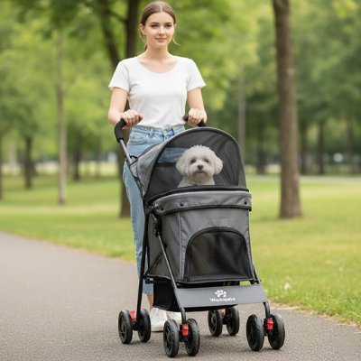Poussette chien avec dame dans parc