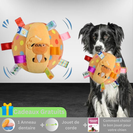 JOUET POUR CHIEN BUSYDOGGY™