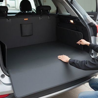 Protection chien voiture