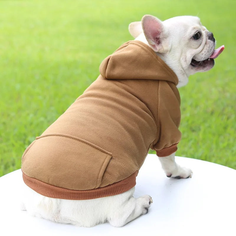 Pull pour chien | Capuchet