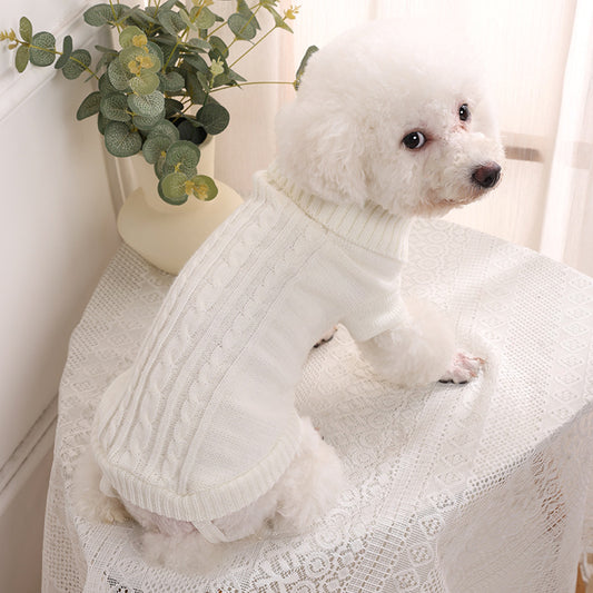 caniche blanc portant pull pour chien blanc est assis sur table recouverte de dentelle