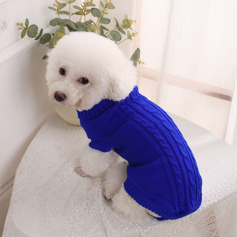 caniche blanc portant pull pour chien bleu est assis sur table recouverte de dentelle