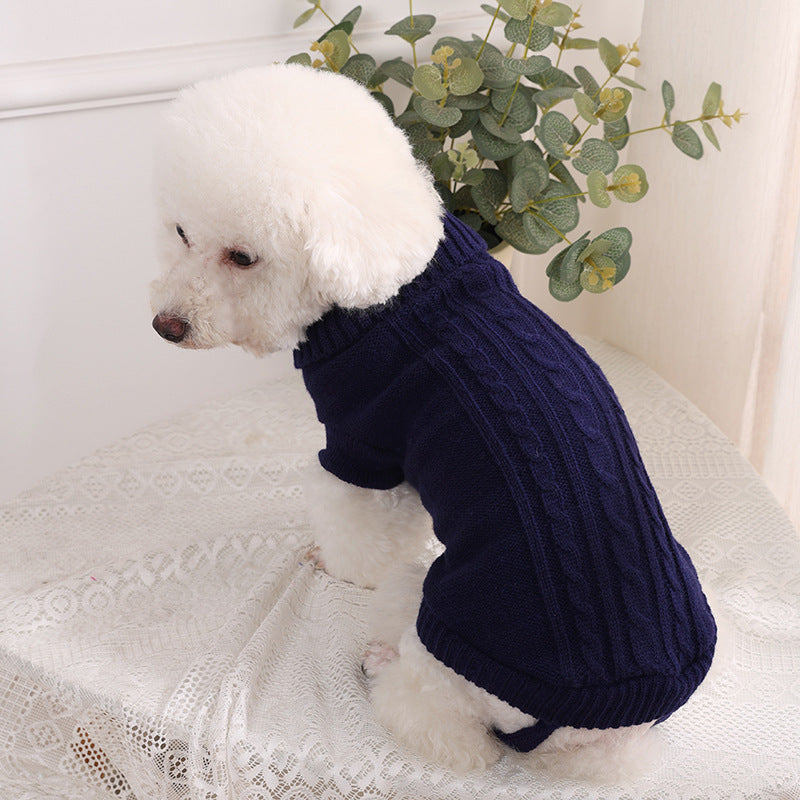 caniche blanc portant pull pour chien  est assis sur table recouverte de dentelle
