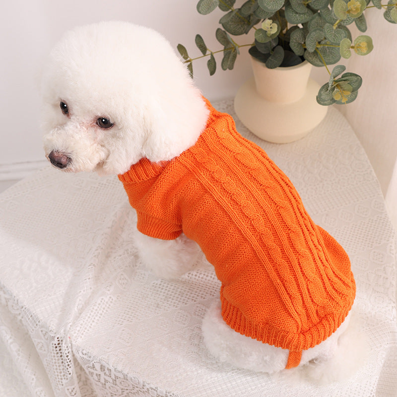 caniche blanc portant pull pour chien orange est assis sur table recouverte de dentelle