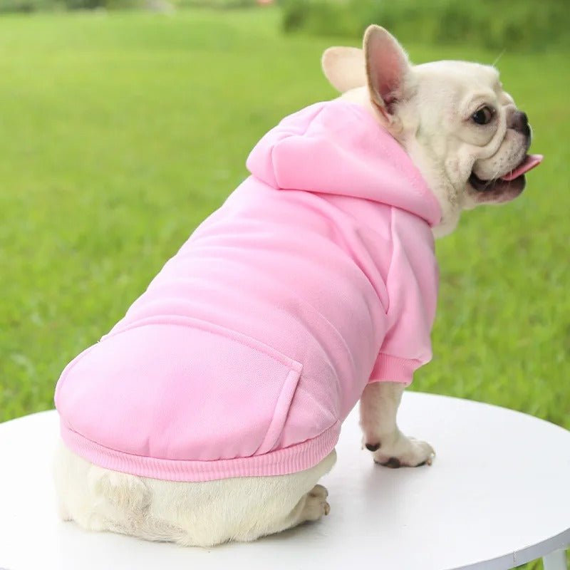 Pull pour chien | Capuchet