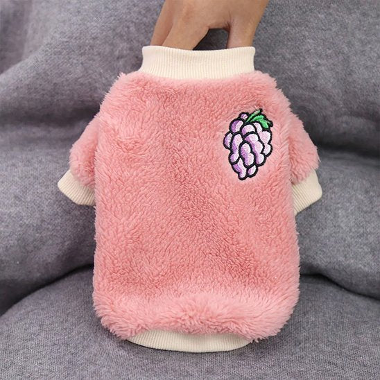 Pull pour Chien sur surface grise