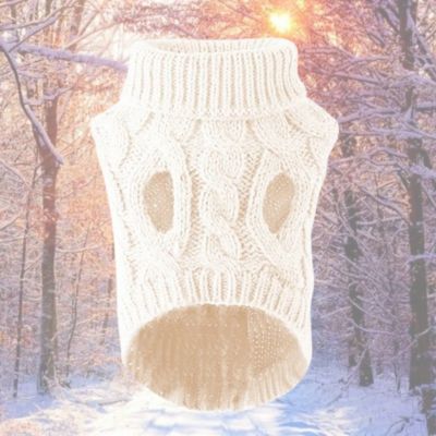 pull pour chien blanc