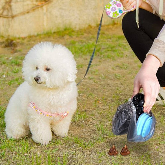 ramasse crottes pour chien utilisé par femme avec caniche blanc