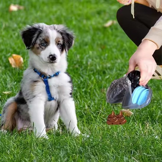 ramasse crottes pour chien utilisé par femme avec chiot aussie