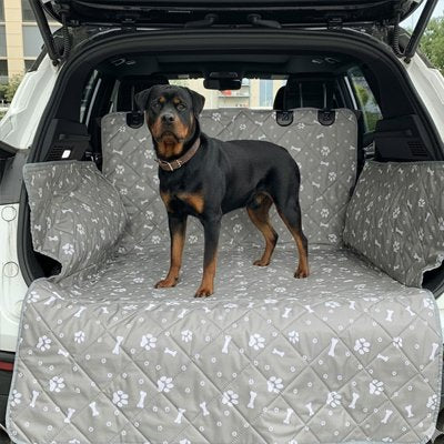 rottweiler est debout sur Protection chien voiture