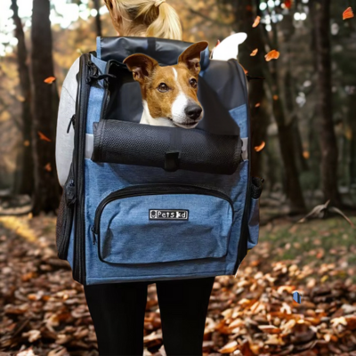 dame marche en forêt en portant chien dans sac à dos chien bleu
