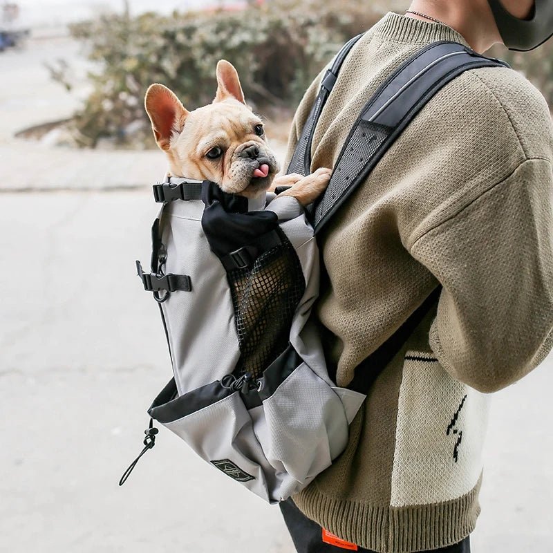 Sac à dos pour chien - Aventure™ - Joli Toutou