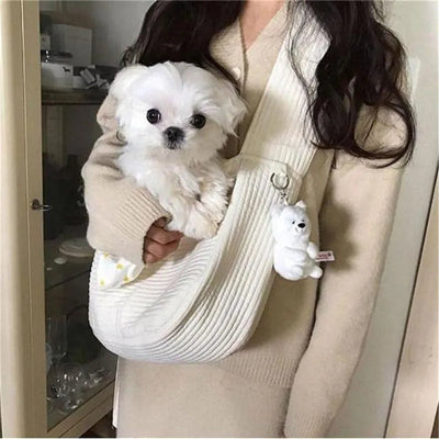 caniche blanc dans sac de transport de sac pour chien