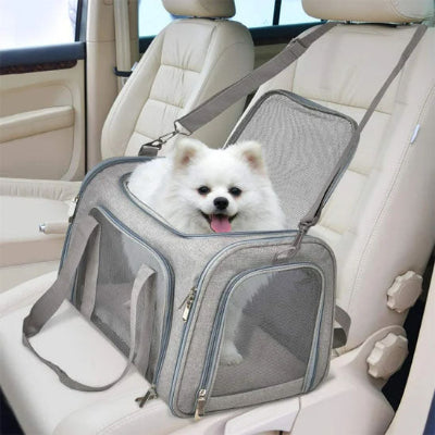 poméranien blanc dans sac de transport pour chien gris sur banquette  de voiture