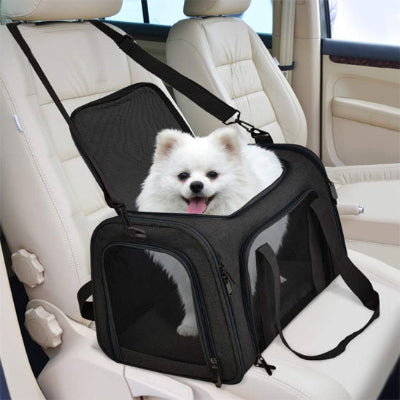 poméranien blanc dans sac de transport pour chien noir sur banquette  de voiture