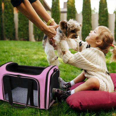 chiot blanc et gris dans les mains de adulte qui donne le chien a une fillette vêtue de long pullover blanc assise sur grand coussin rouge sur gazon vert pres de sac de transport pour chien rose