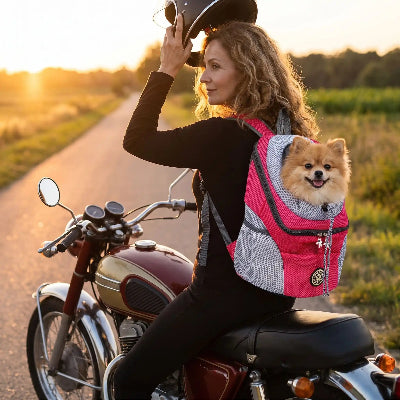 dame assise sur moto en portant son poméranien dans sac de transport pour chien dans son dos