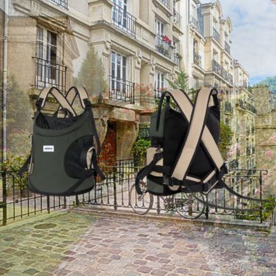 Sac de transport pour chien vert sur fond de ville