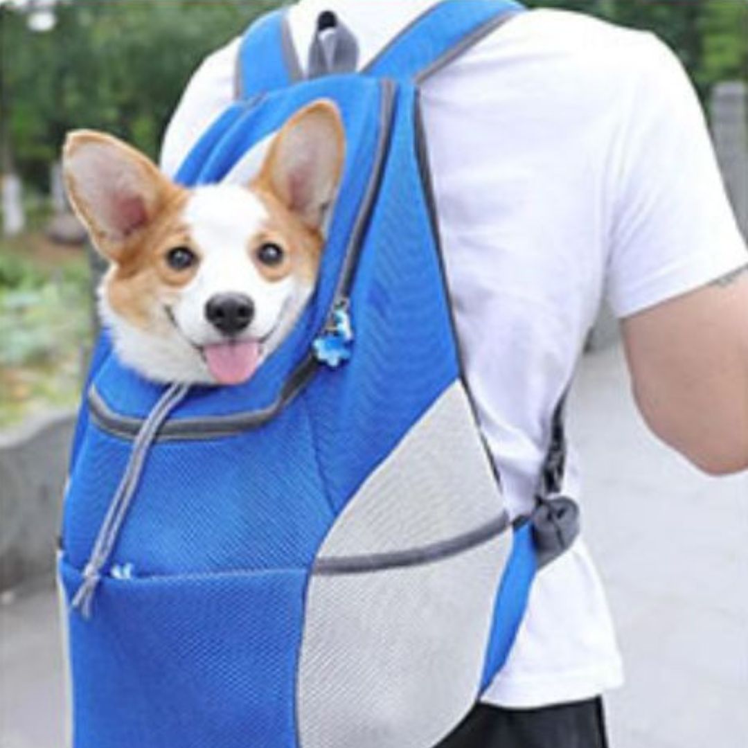 Sac de transport pour chiens - DoggyBag™ - Joli Toutou