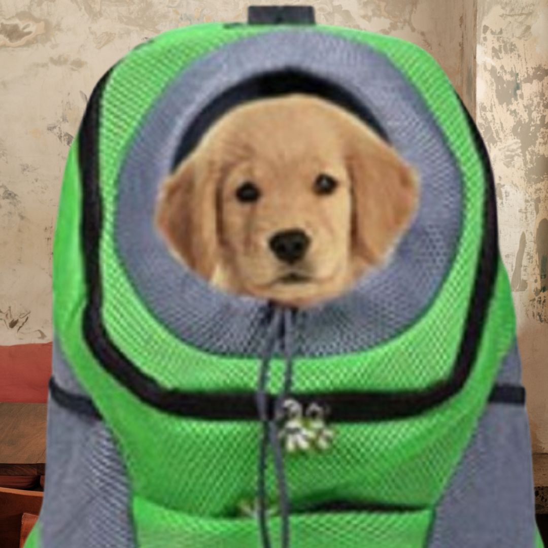 Sac de transport pour chiens - DoggyBag™ - Joli Toutou