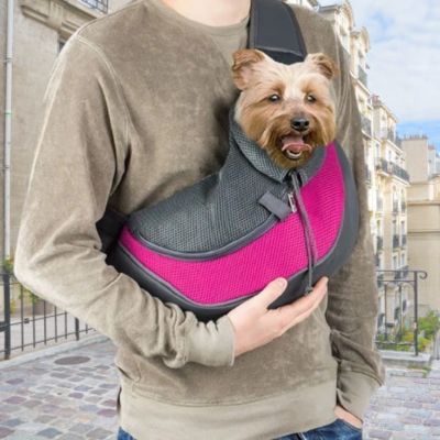chien brun dans sac pour chien rose