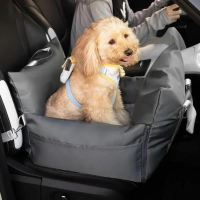 caniche-beige-dans-sac-gris-sur-siege-avant-de-voiture