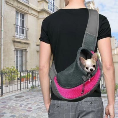 chihuahua dans sac pour chien avec avec homme