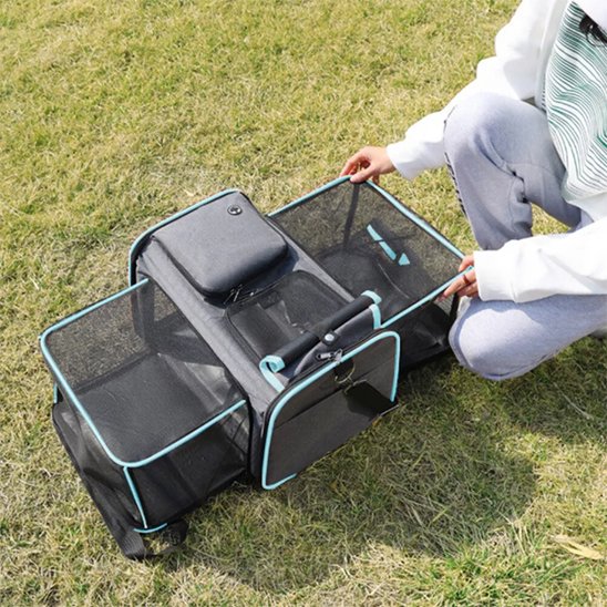 Sac transport pour chien ouvert en enclos sur pelouse