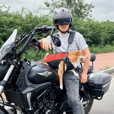 homme transporte shiba inu sur sa moto noire en utilisant sac a dos chien