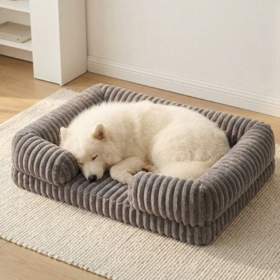 samoyède dort dans Panier à Chien