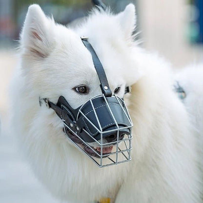 samoyède porte Muselière pour chien noire