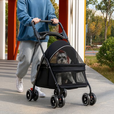 schnauzer dans Poussette pour Chien noire poussée par jeune homme