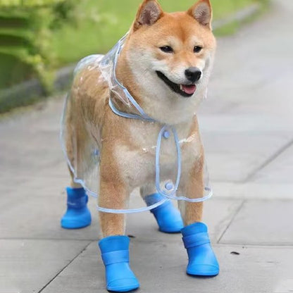 shiba inu avec imper portant chaussure chiens est sur sentier pédestre