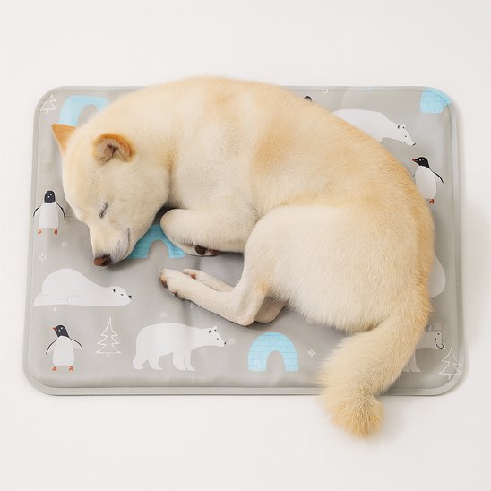 shiba inu blanc dort sur Tapis rafraichissant pour chien sur fond blanc
