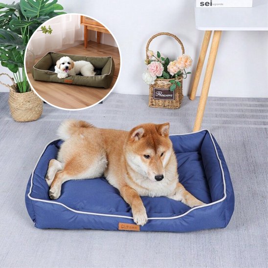 shiba inu couche dans Panier pour chien bleu