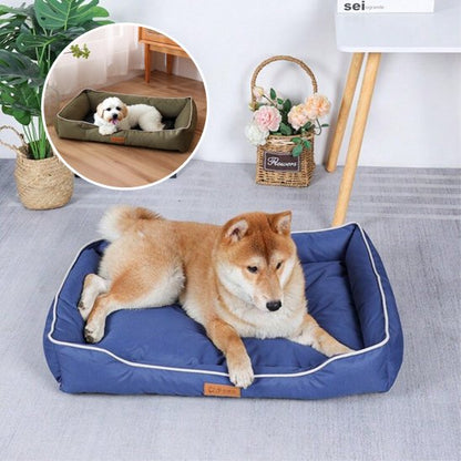 shiba inu couche dans Panier pour chien bleu