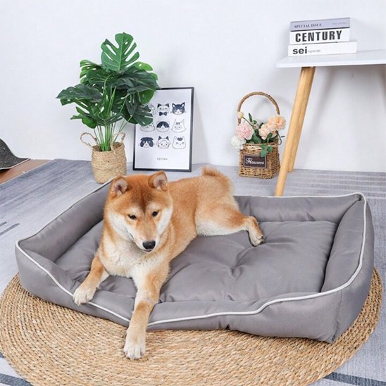 shiba inu couche dans Panier pour chien gris
