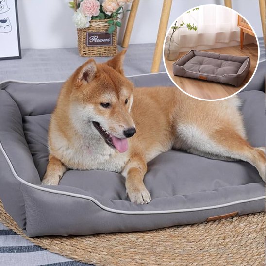 shiba inu couche dans Panier pour chien gris