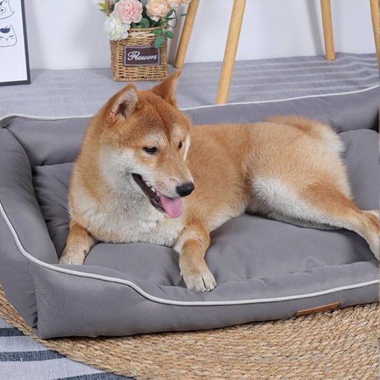 shiba inu couche dans Panier pour chien gris