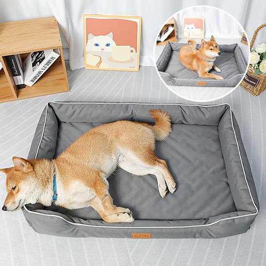 shiba inu couche dans Panier pour chien gris