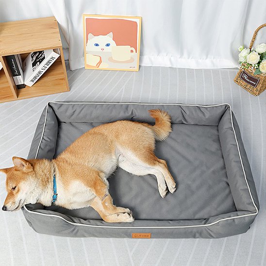 shiba inu couche dans Panier pour chien gris