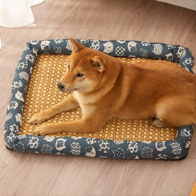  shiba inu couche sur Tapis Chien rafraichissant au sol
