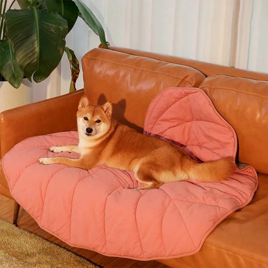 shiba inu couche sur Tapis pour chien rose sur canape