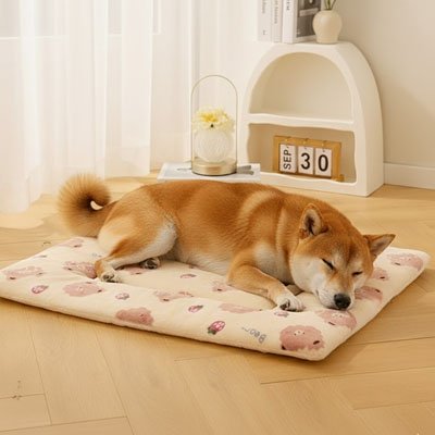 shiba inu couche sur Tapis pour Chien