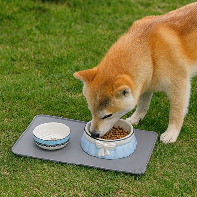 shiba inu mange sur de Tapis gamelle Chien gris
