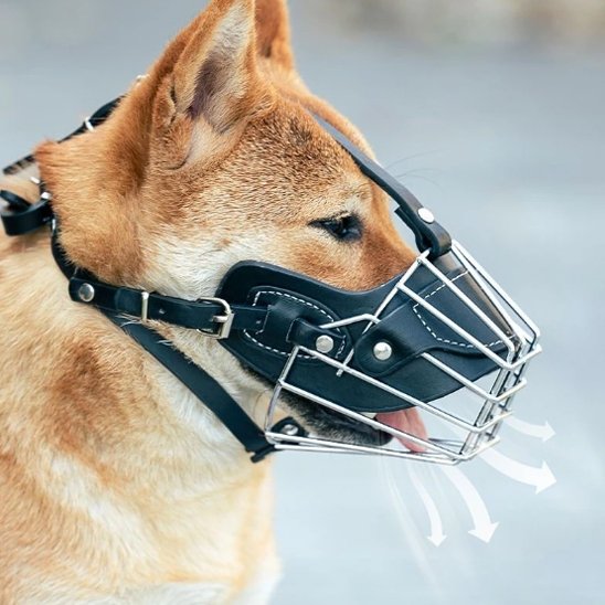 shiba inu porte Muselière pour chien noire