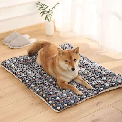 shiba inu sur Tapis chien dans sejour