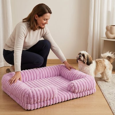 shitzu attend près de  Panier à Chien avec dame 