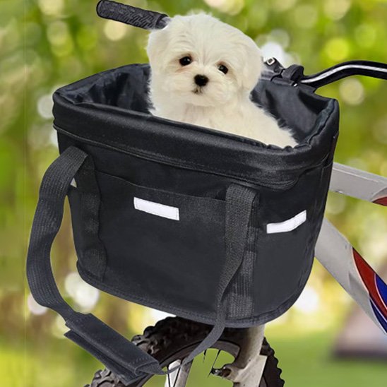 shitzu blanc dans Panier velo chien 