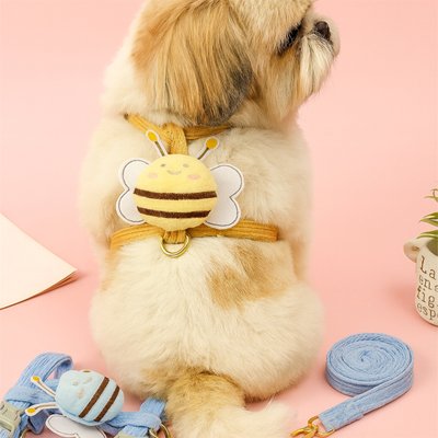 shitzu portant Harnais pour petit Chien jaune est assis sur sol rose